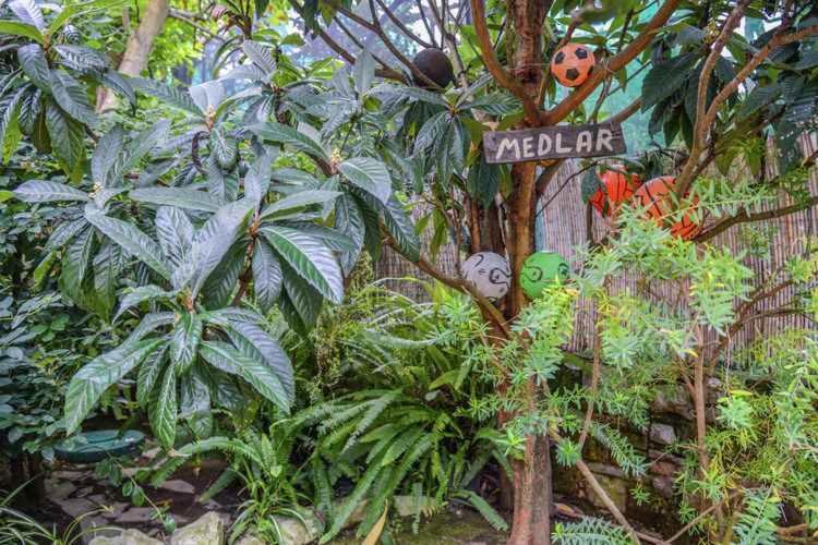 Apartment Sorrento 2 Екстериор снимка